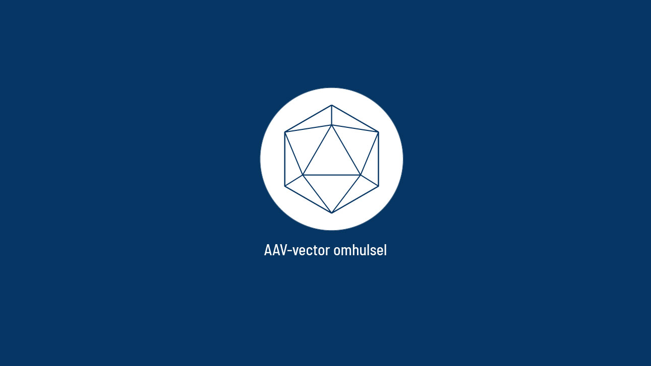 Adeno-geassocieerde virale (AAV) vectorcapside