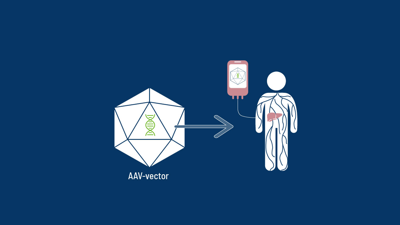 AAV-vector